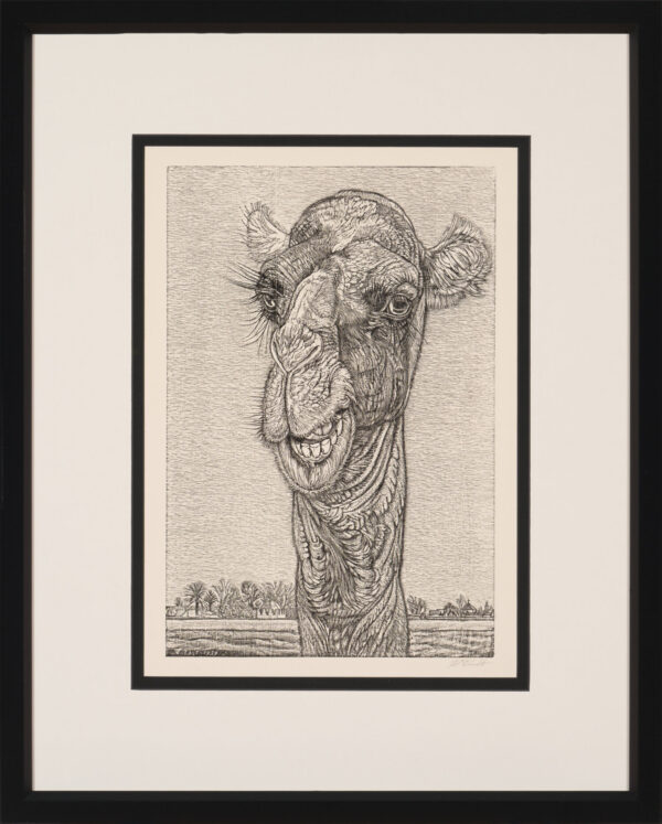 Eduard Wiiralt "Kaameli pea”, 1939