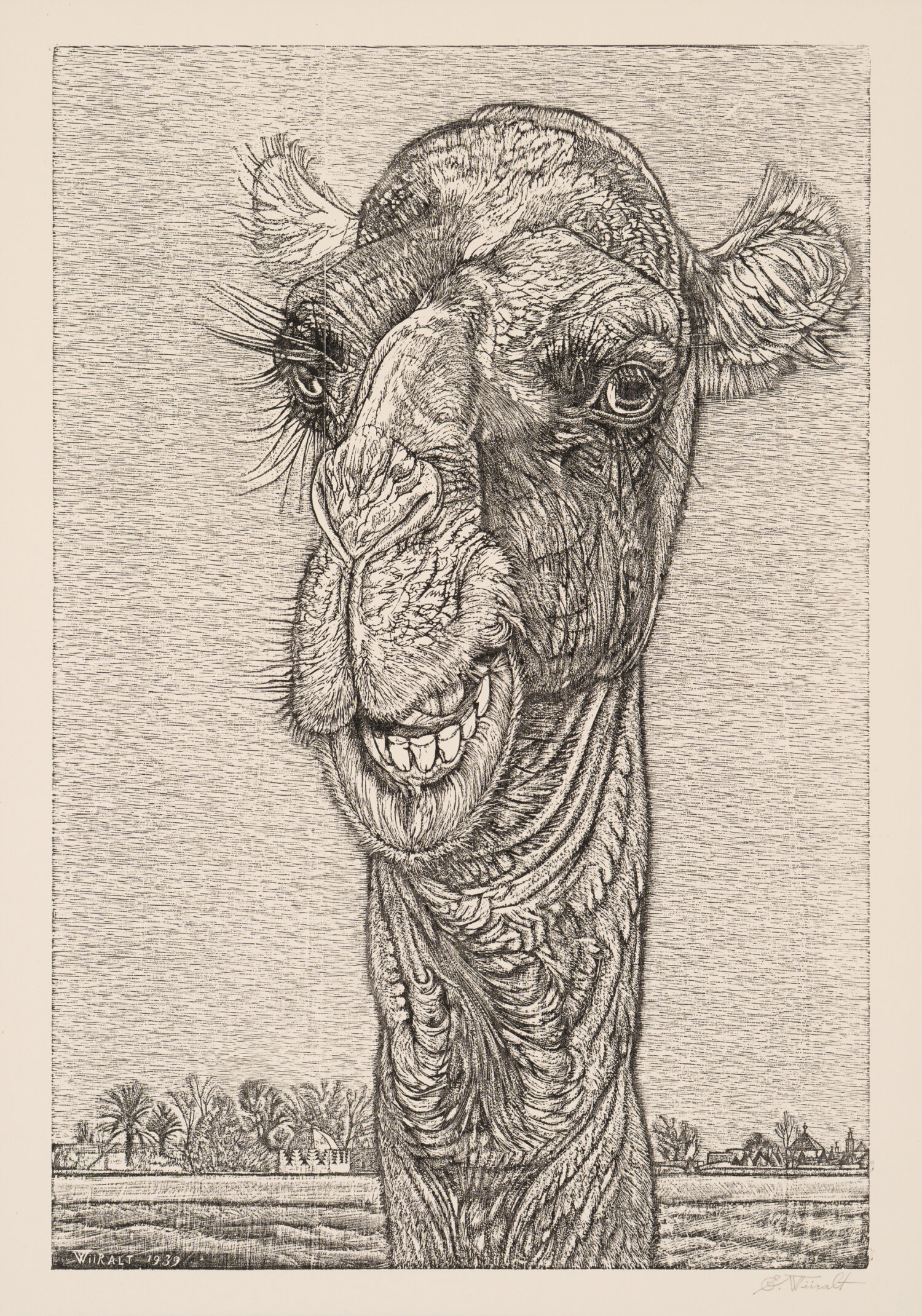 Eduard Wiiralt "Kaameli pea”, 1939 - Image 1