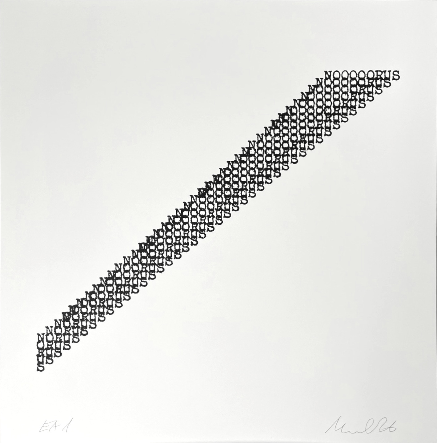 Raul Meel Noorus